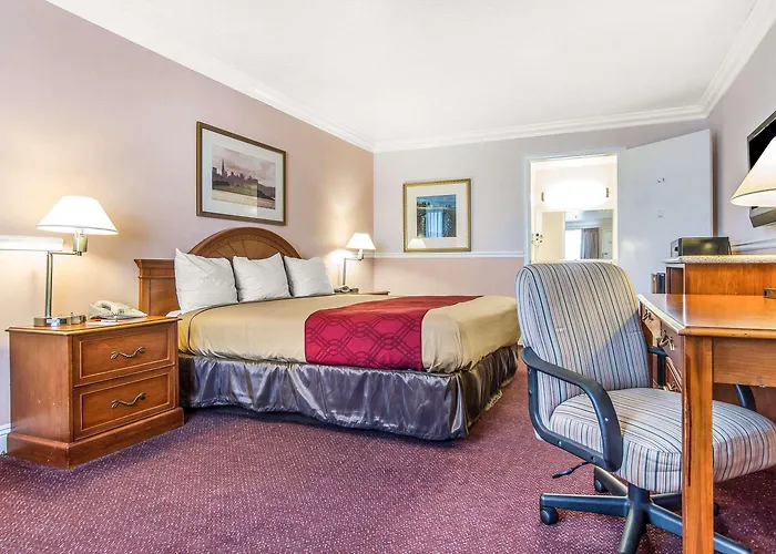 Econo Lodge Castro Valley I-580